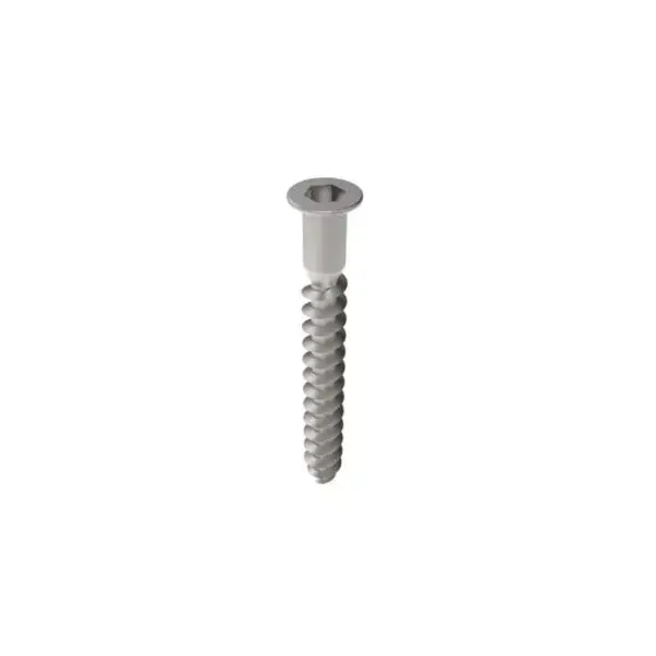 Cabinet Screws